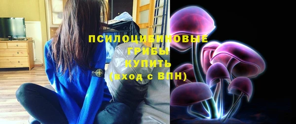 соль ск Балахна