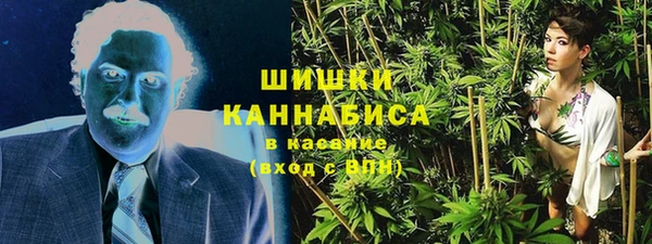 крисы Баксан
