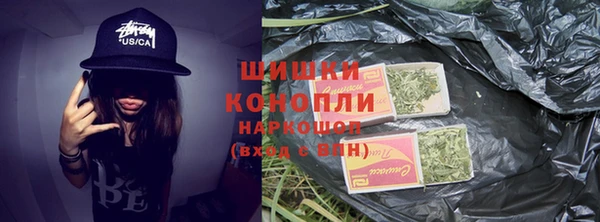 apvp Белокуриха