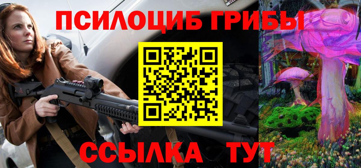 Галлюциногенные грибы Psilocybe  Вход с VPN  Псилоцибиновые грибы Psilocybe  Горно-Алтайск 