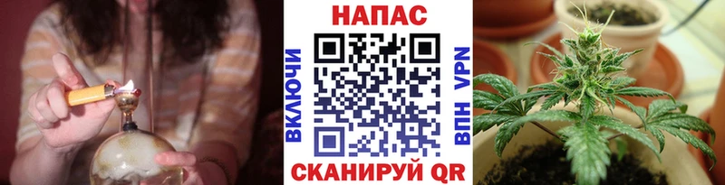 Канабис сатива Горно-Алтайск